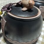 Fisch Tee-Dose loser Tee photo review