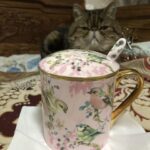 Vogel Knochenporzellan Becher mit Deckel photo review