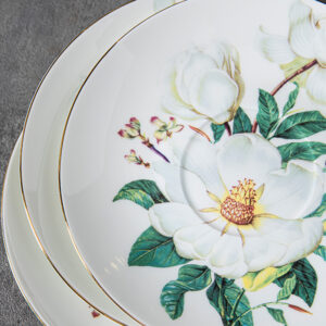 TSB18BB024 4 Kamelie Teetasse und Untertasse-Set Knochenporzellan